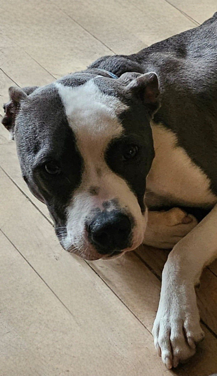 Lucky's Motivational Apparel Line