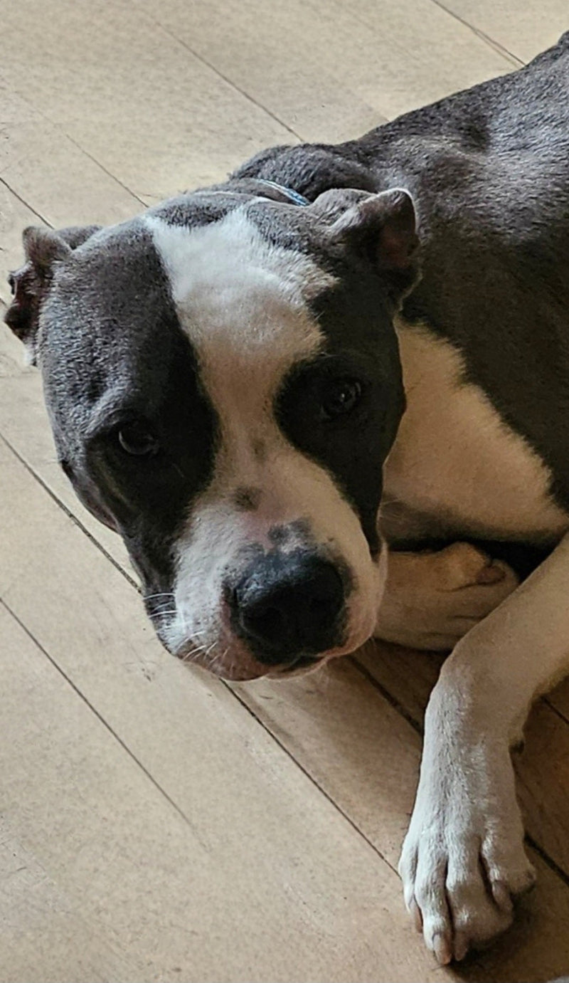 Lucky's Motivational Apparel Line